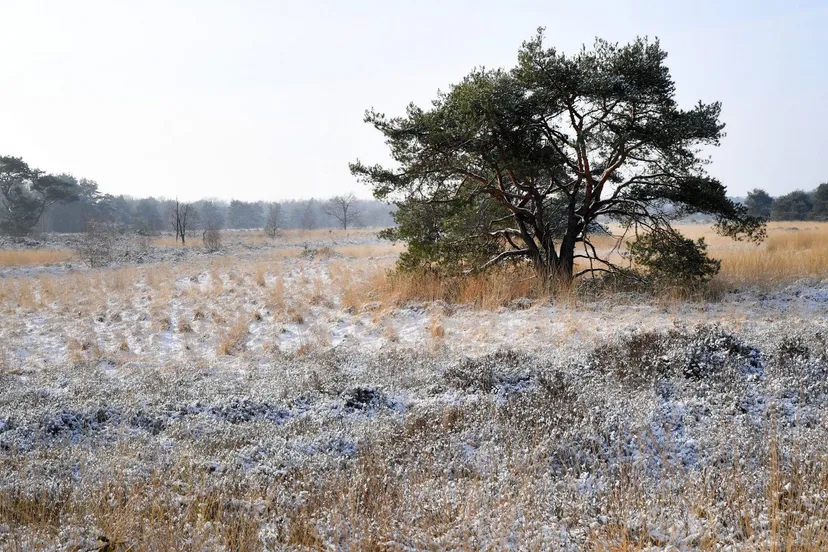 10376 20190123 achtmaal jst0014 5568x3712