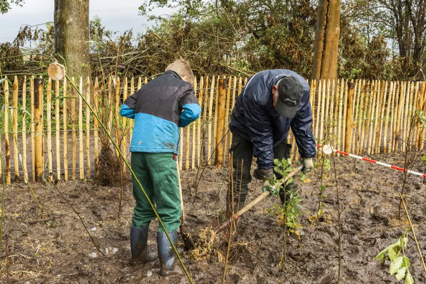 1775 42e31be0d5a8983bf401c7f0bf716f10