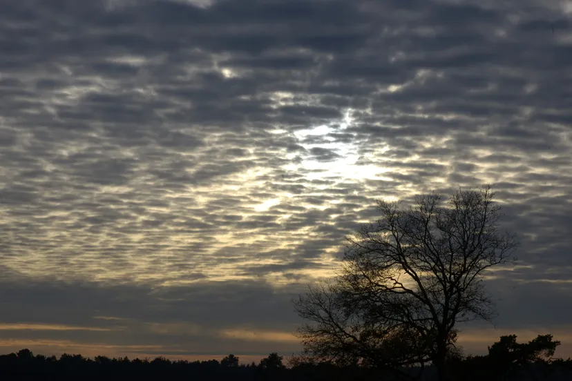 20141125 loz jst1982 scaled