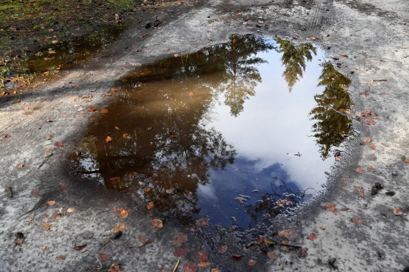 20190305 bergen op zoom landgoed jst9529 scaled