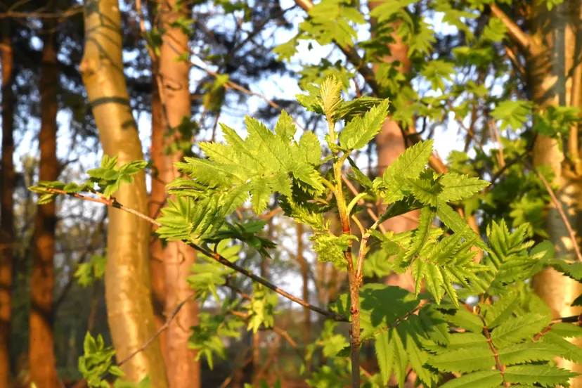 20190415 landgoederen serie jst7038