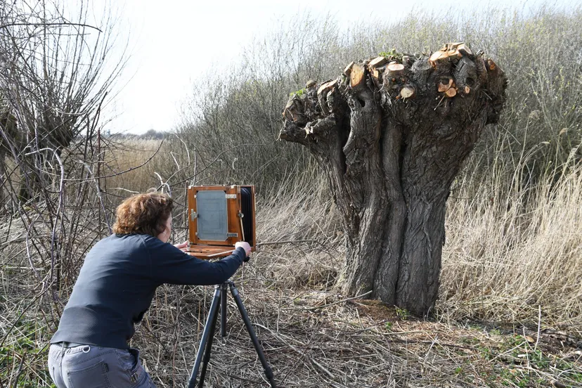 20210323 zundert betsy green jst0727
