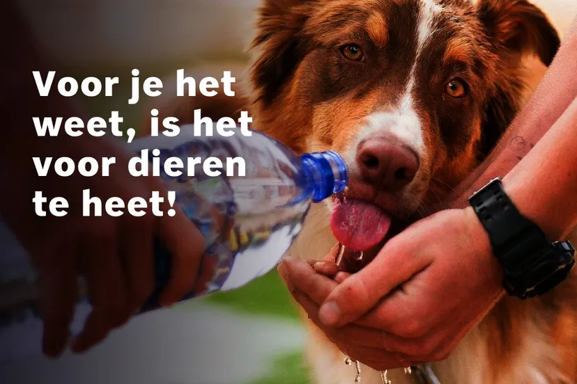 287507860 402633388558619 6015975555855688921 n