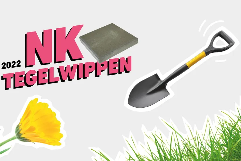 310810245 414565074192090 7924873772186389756 n