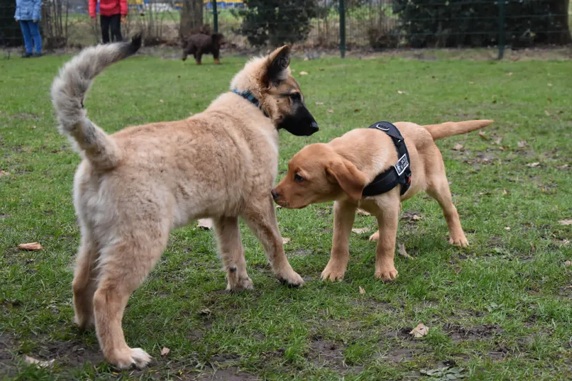 318460869 928333938527399 1189495620813293765 n