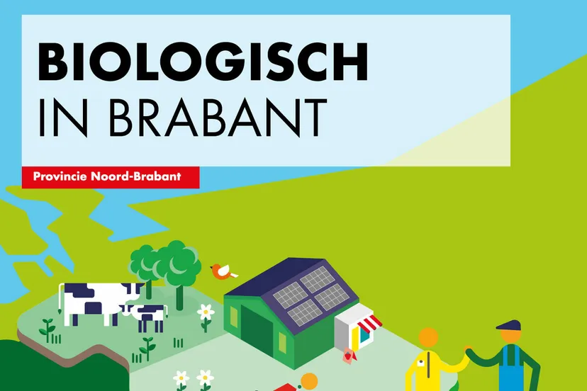 325344996 693311442293038 1138101346316780177 n e1674152999679