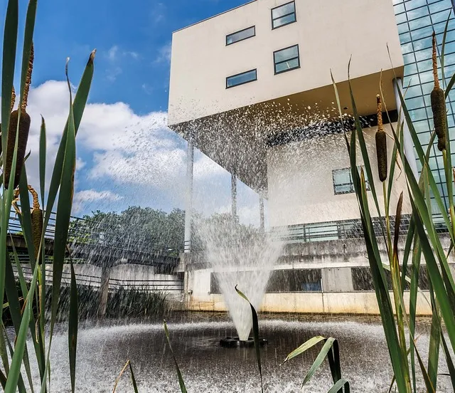 344187298 153888534278353 2617151821571327124 n