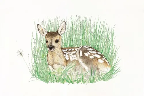 c1d2f8c2 5075 482c 9d20 f4df63f99037