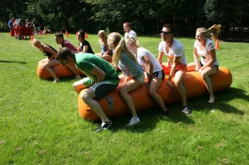 c84c6ecf 034b 4257 80b7 6e0f5b768a14