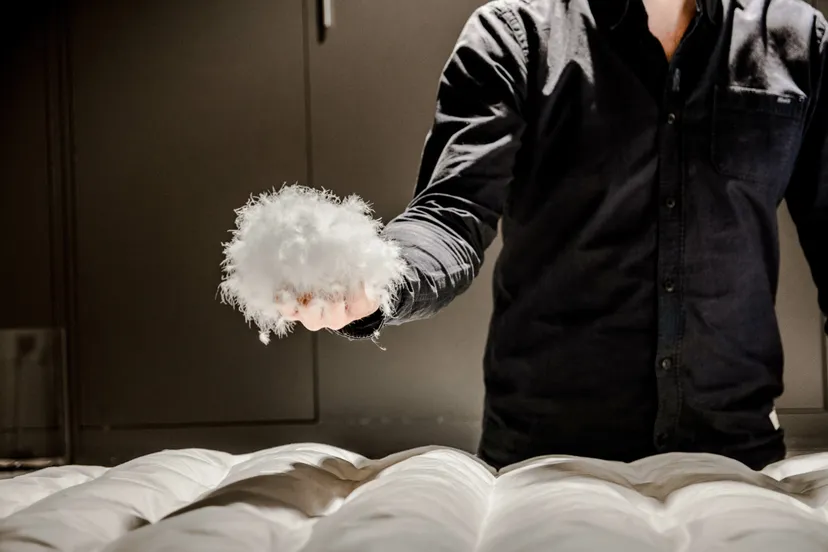 dons in donsatelier scaled