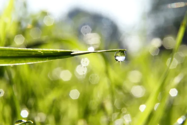 drops of water g896006451 640