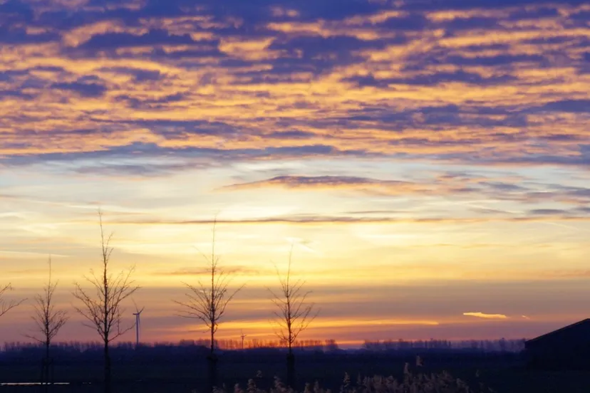 dsc07379 bijgesneden wm