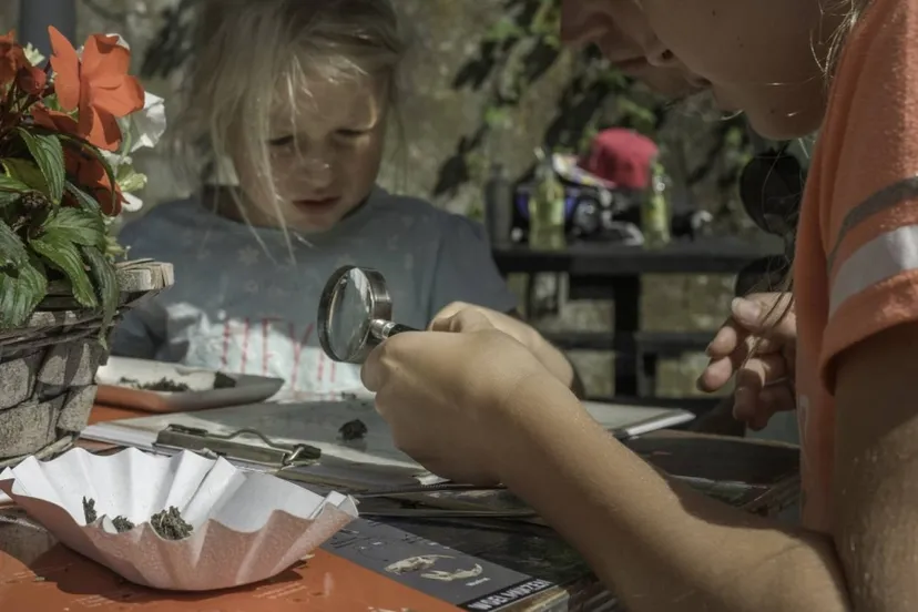 ic large w900h600q100 natuurlab fort sabina 6