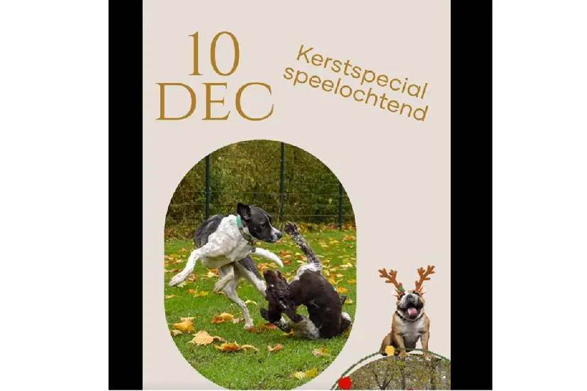 naamloos 1 e1670267318343