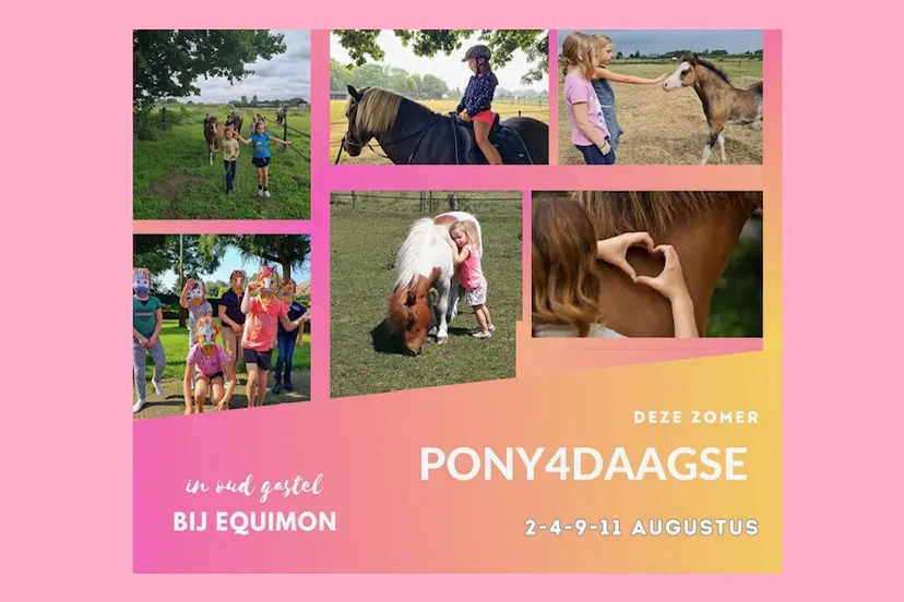 naamloos 4 e1687192034910