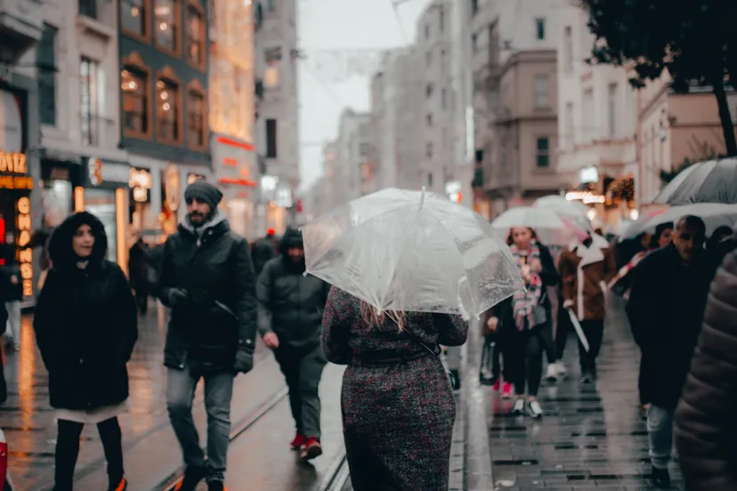 pexels musa ortac 4599451