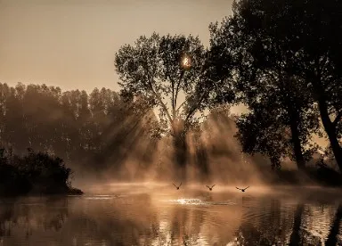 septembermorgenjpgrendition384614 1