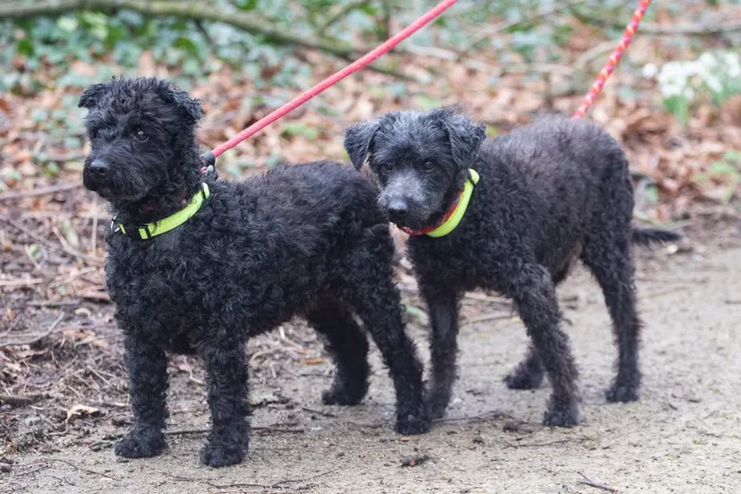 wendy en joska februari 2022