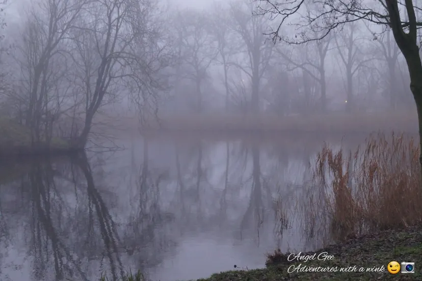 zonsondergang 17 januari en ochtend in de mist 18 januari beide in willemstad 3