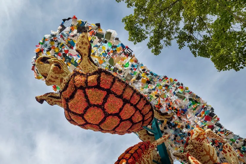 zundert 20220904 ew066