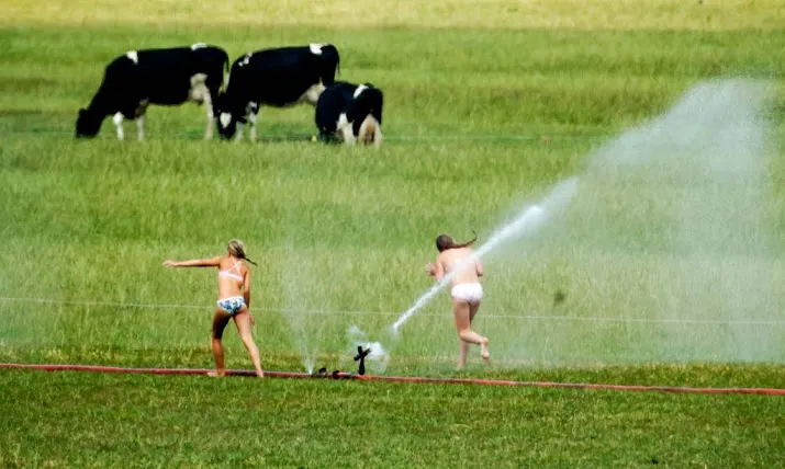 sproeiverbod in waterprovincie friesland