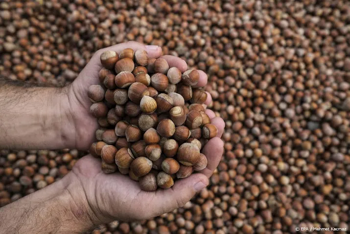 turkse boeren boos om hazelnotenmonopolie nutella maker ferrero