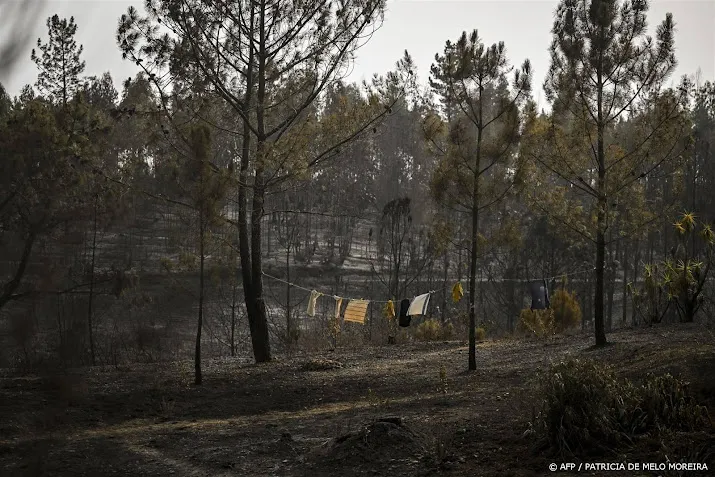 nauwelijks hulpvragen van nederlanders in portugal en noorwegen