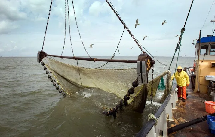 vissers gaan onzekere tijden tegemoet