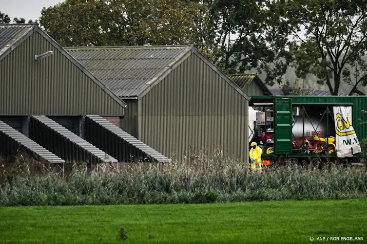 107 000 kippen geruimd na uitbraak vogelgriep op groot bedrijf
