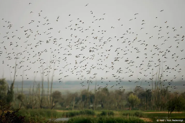 16 000 euro opgehaald voor bedreigde vogels