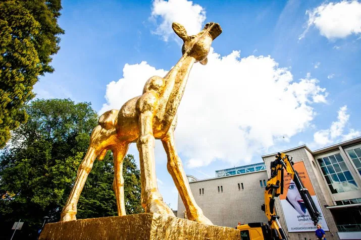 38e editie nederlands film festival begint