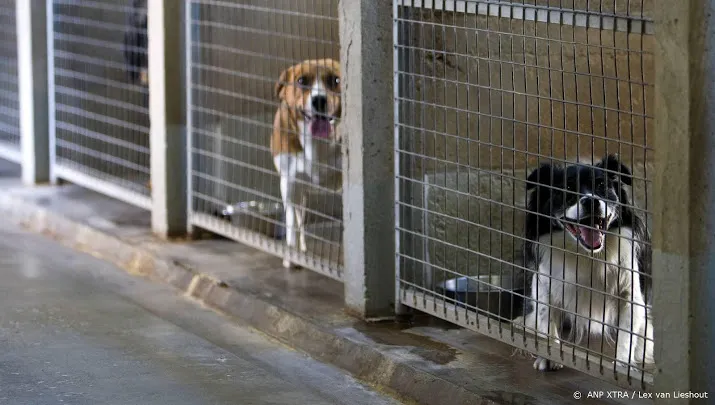 44 honden uit vervuilde woning gehaald