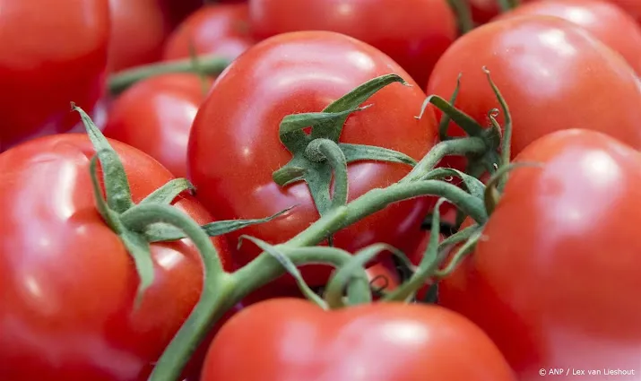 50 000 euro boete voor maken illegaal middel tegen tomatenvirus