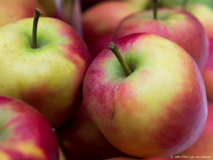 60 procent eet dagelijks fruit en groente
