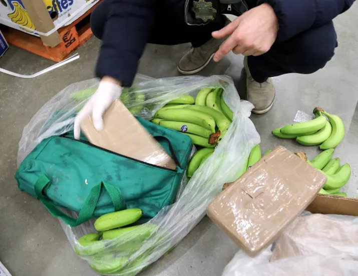 7000 kilo cocaine ontdekt tussen bananen