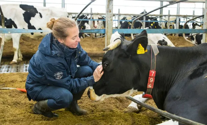 75 miljoen hulp voor beginnende boeren