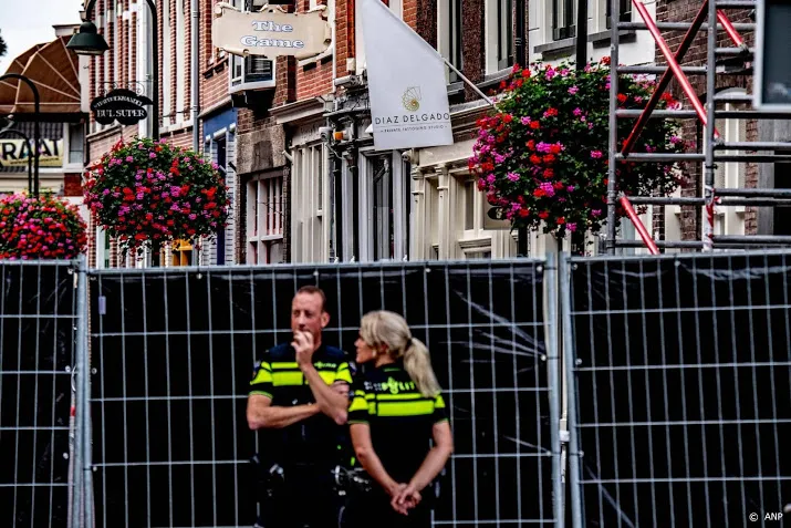 8 en 12 jaar om aanslagen handgranaat delft