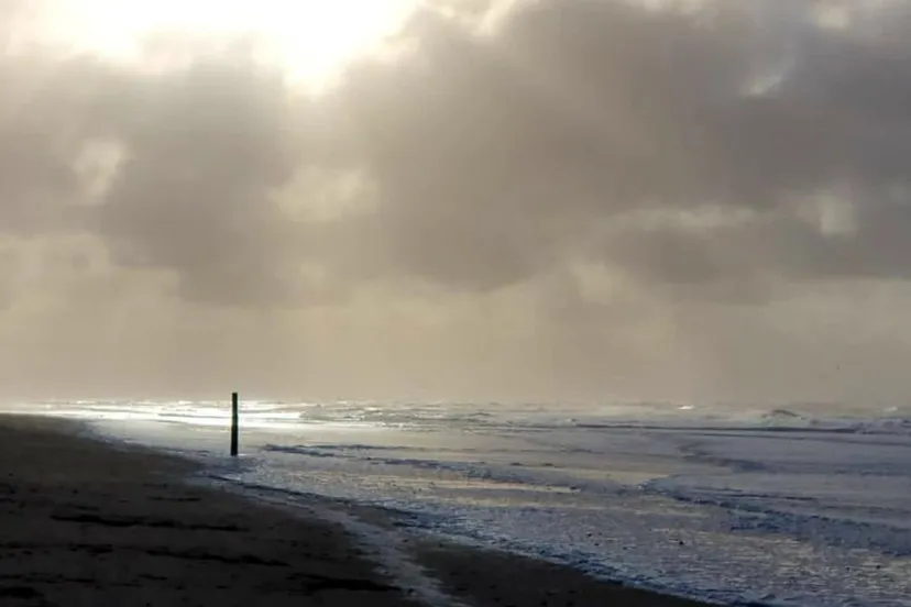 a tiel texel