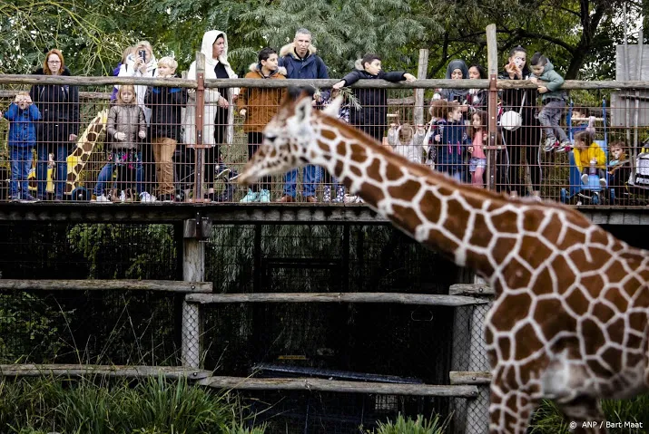 aangifte als blijdorp uit geldnood gezonde dieren afmaakt