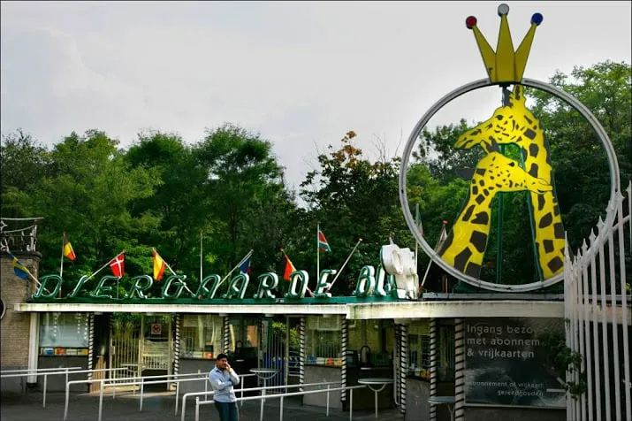 aapje ontsnapt uit verblijf in blijdorp