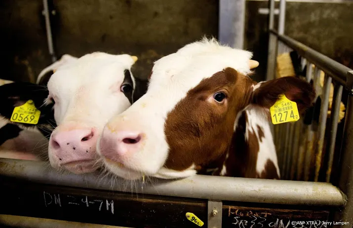 abattoir vandrie group hervat slachtingen
