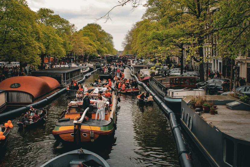 abinash satapathy woyfxrosuze unsplash