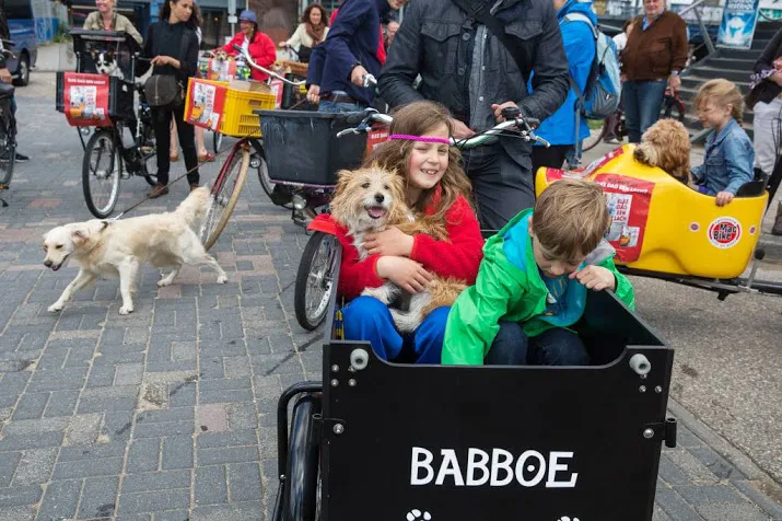accell lijft moederbedrijf babboe helemaal in