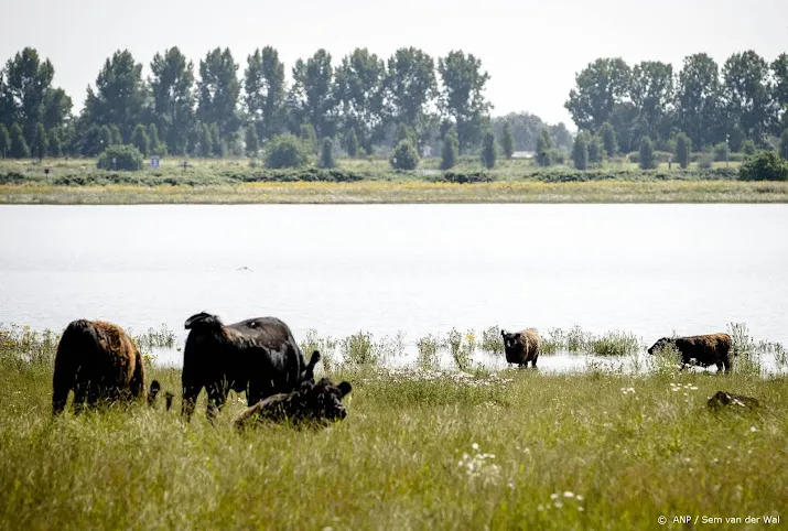 acm consumenten nog niet bereid te betalen voor duurzaam eten
