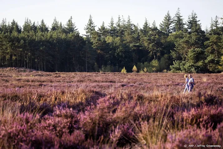 actiegroep vindt nieuwe luchtruimindeling catastrofe voor veluwe