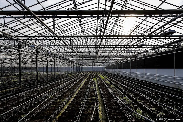 adema glastuinbouw past in nederland ondanks energieverbruik