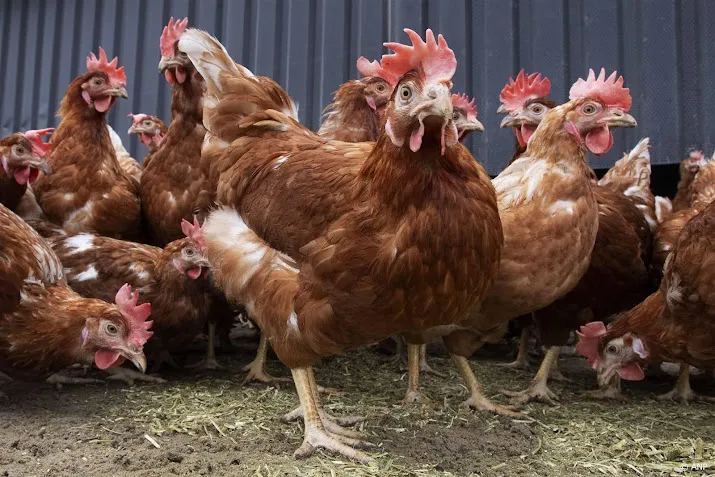 adema trekt ophokplicht in groot deel nederland in