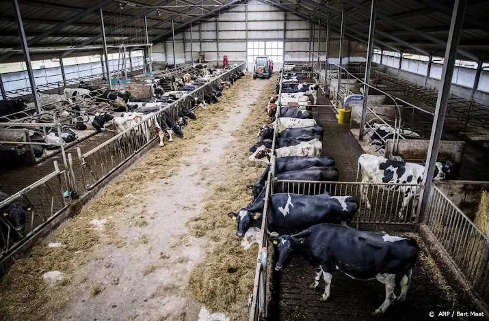 advies aan vlaamse regering krimp veestapel drastisch in