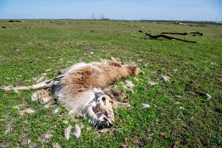 advies oostvaardersplassen gepresenteerd