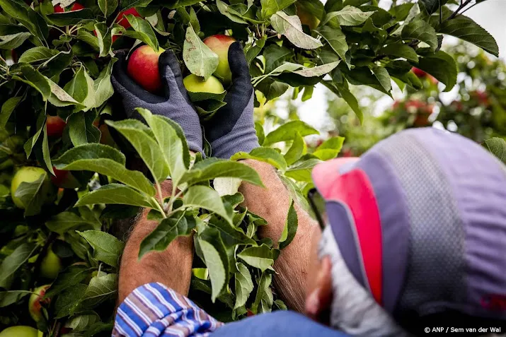 advies verbied detachering arbeidsmigrant in sommige sectoren